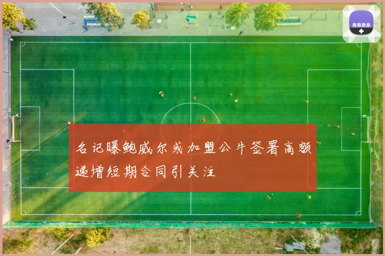 名记曝鲍威尔或加盟公牛签署高额递增短期合同引关注