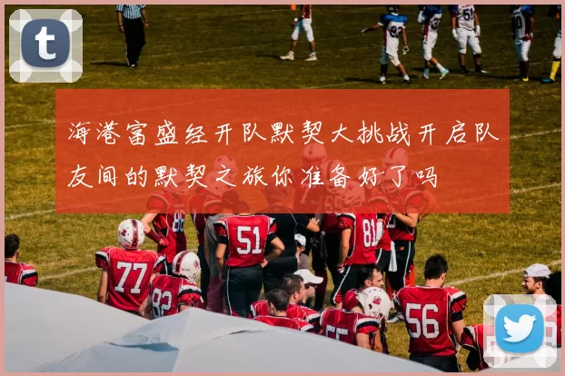 海港富盛经开队默契大挑战开启队友间的默契之旅你准备好了吗