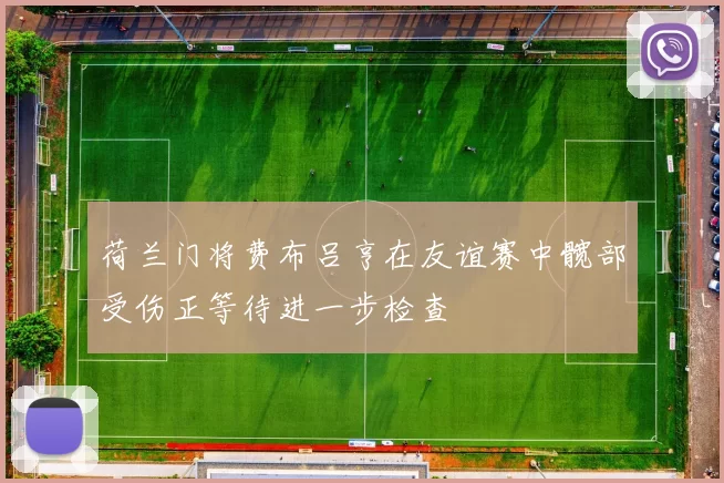 荷兰门将费布吕亨在友谊赛中髋部受伤正等待进一步检查