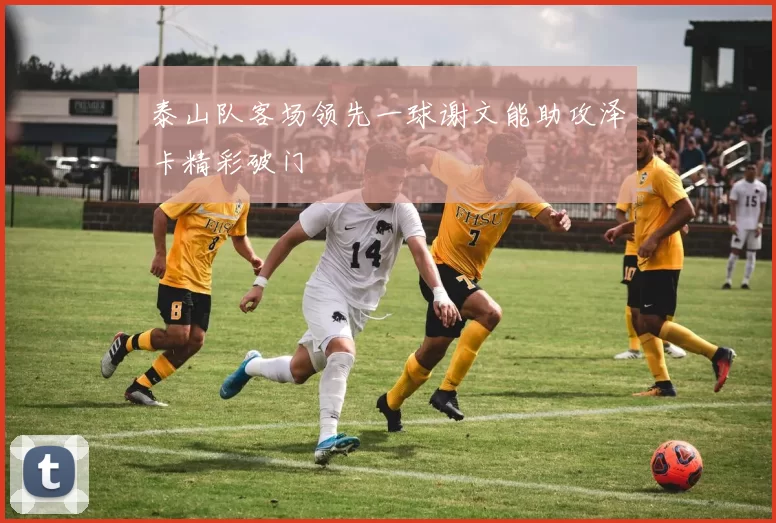 泰山队客场领先一球谢文能助攻泽卡精彩破门