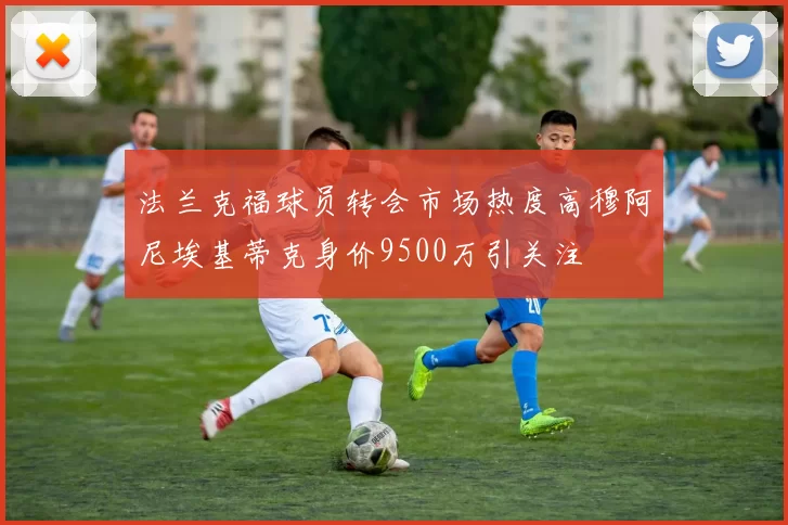 法兰克福球员转会市场热度高穆阿尼埃基蒂克身价9500万引关注